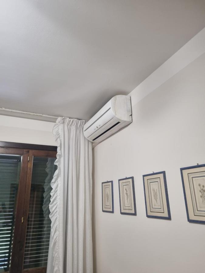 Dimora Fiore Lägenhet Lucca Exteriör bild